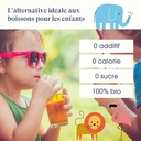 Assortiment Infusions pour Enfants Bio 20 sachets x6 ETS