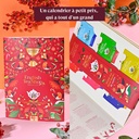 Calendrier de l'Avent Livre de Noël Bio 24 sachets x12 ETS