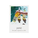 Flyer Jane