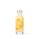 Elixir Gingembre Bio 20cl x12 Gili