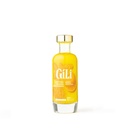 Elixir Curcuma Bio 20cl x12 Gili