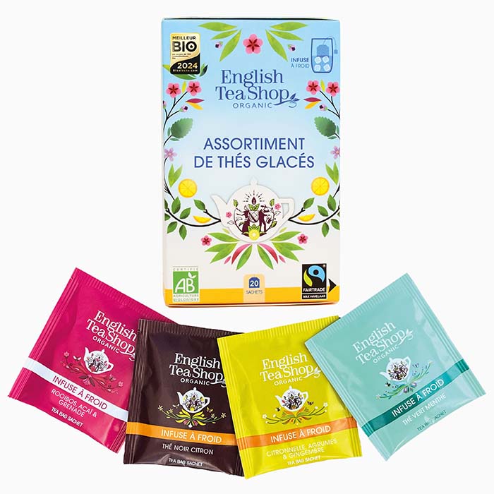 Assortiment de thés glacés Bio 20 sachets X6 ETS